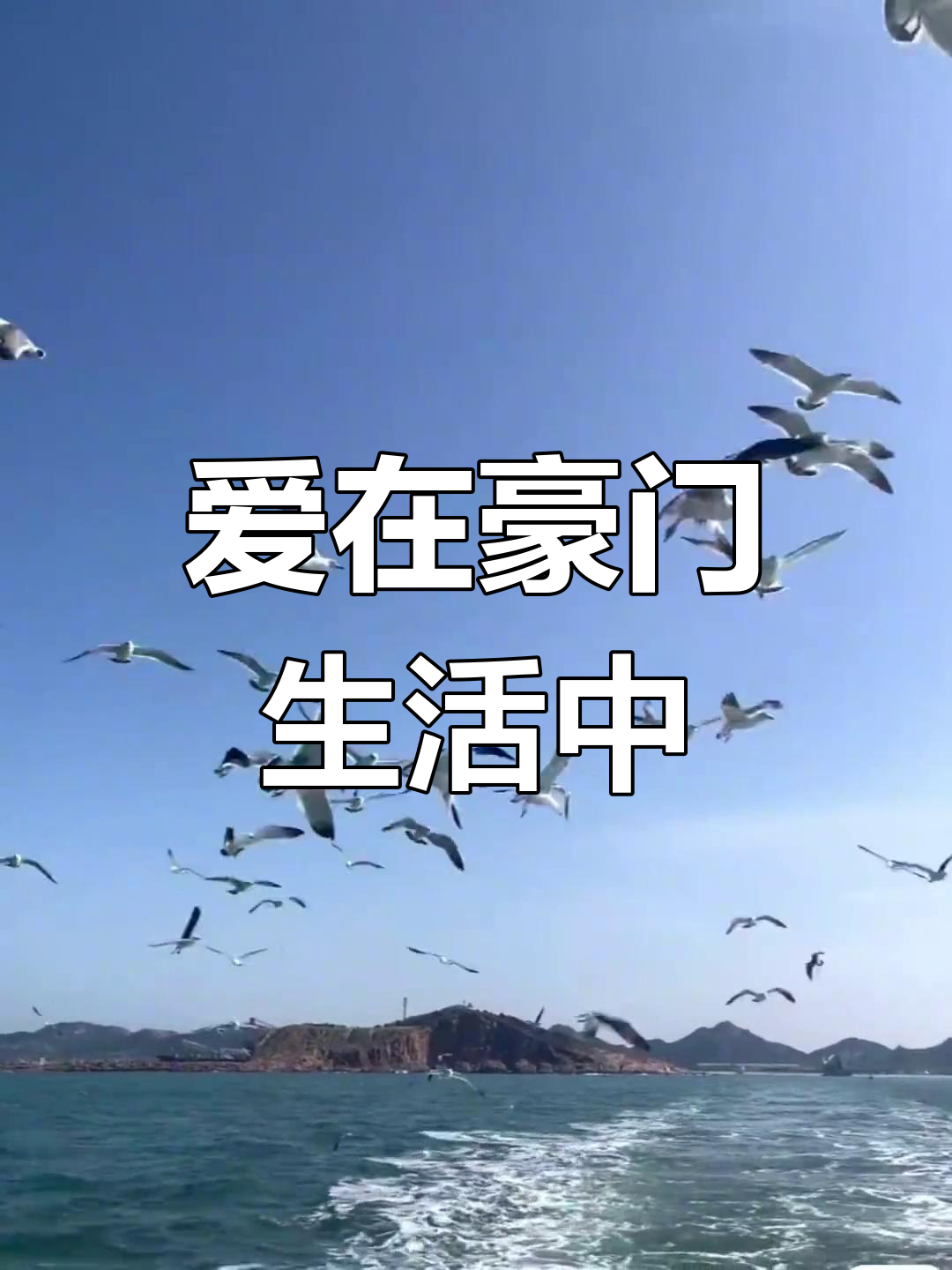 江停严峫的豪门婚姻生活,爱与责任的完美结合
