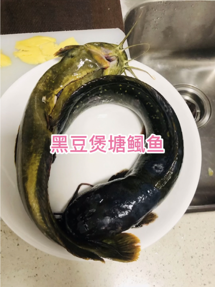 黑豆煲塘鲺鱼调整脾胃虚寒,体质虚弱,补气血