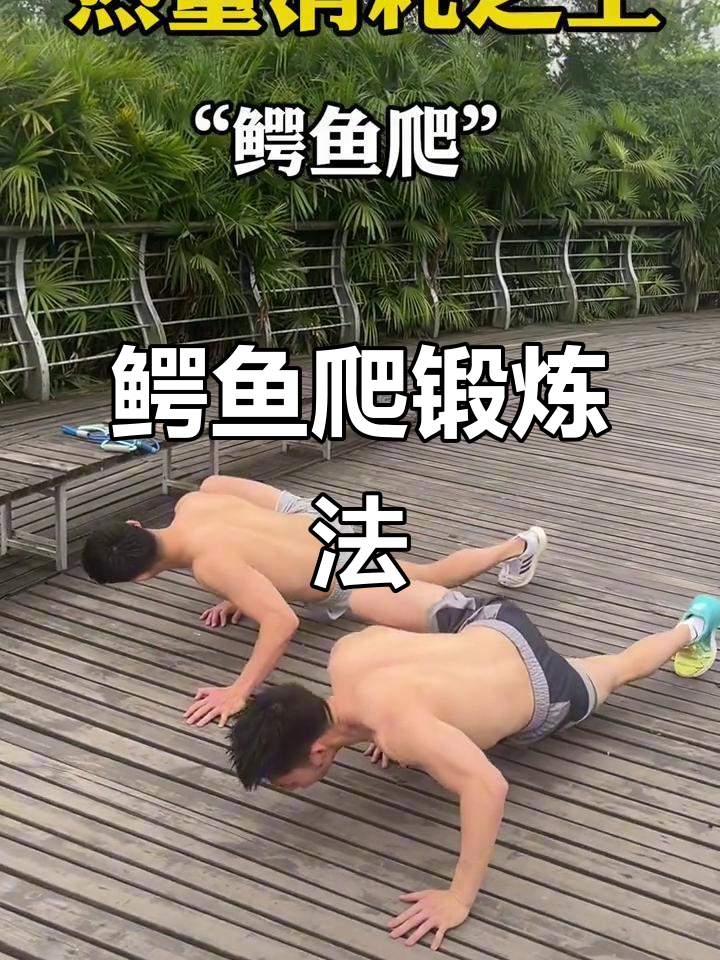 鳄鱼爬轻松练，协调性提升，膝盖无压！