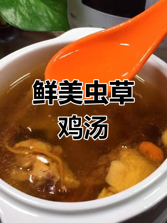 虫草花炖鸡汤,隔水炖让营养不流失