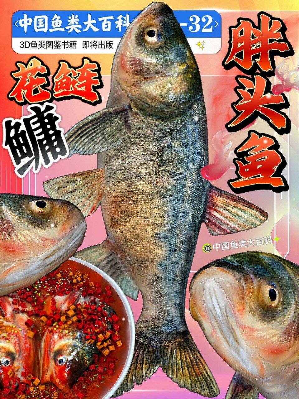 剁椒鱼头的主人公~胖头鱼~鳙鱼~