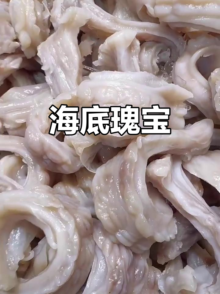 鲨鱼肚,滋补养颜的海洋珍品,营养丰富堪比人参