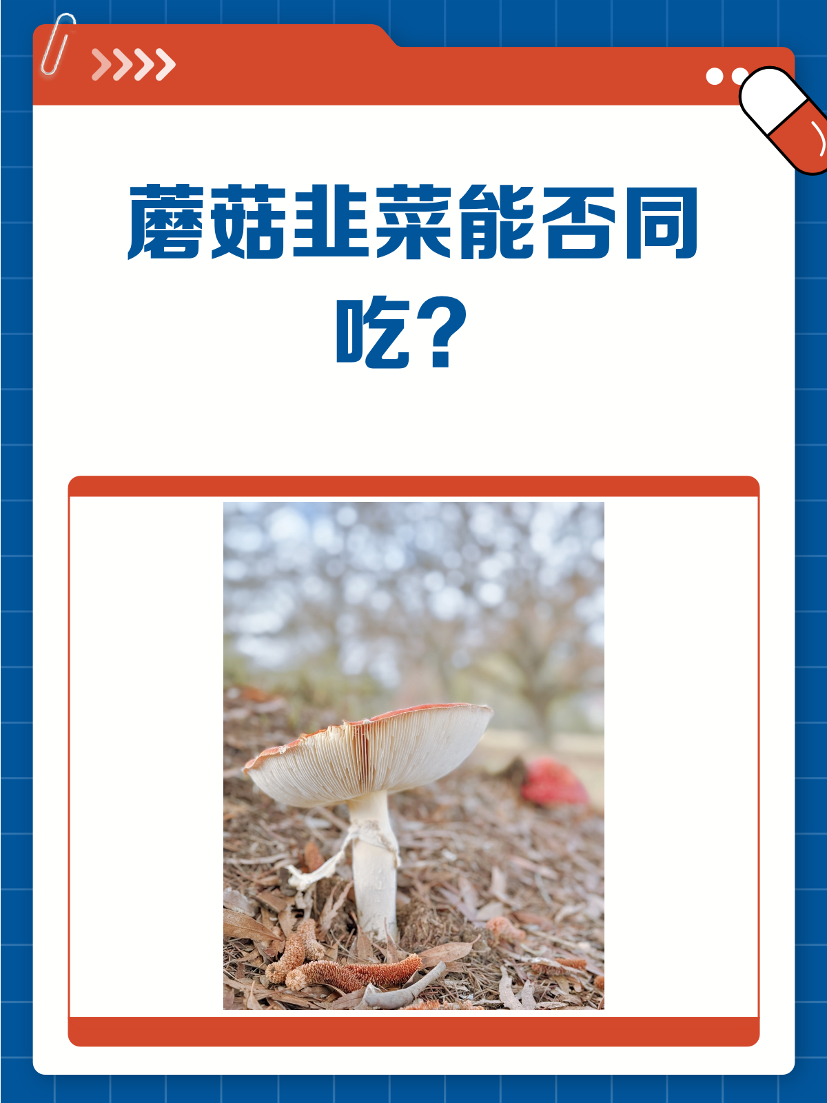 蘑菇韭菜能否同吃?一文解答你的疑惑!