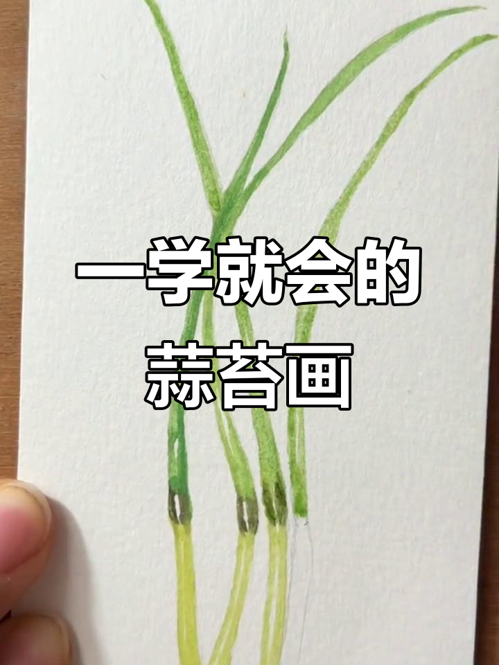蒜苔水彩画,简单又好看!