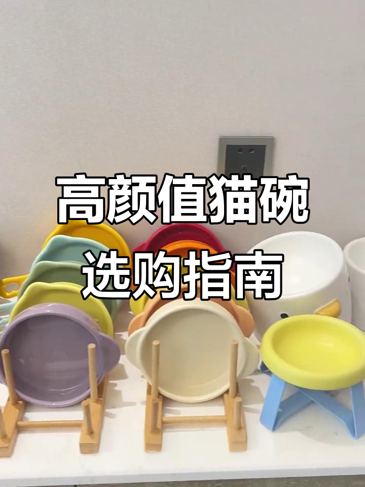 猫咪餐具推荐:小花盘与餐前盘的完美搭配