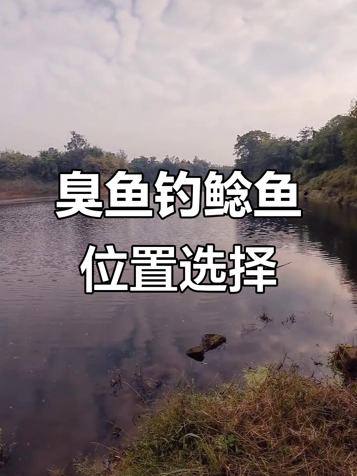 水库钓鲶鱼技巧:选位与装备全攻略