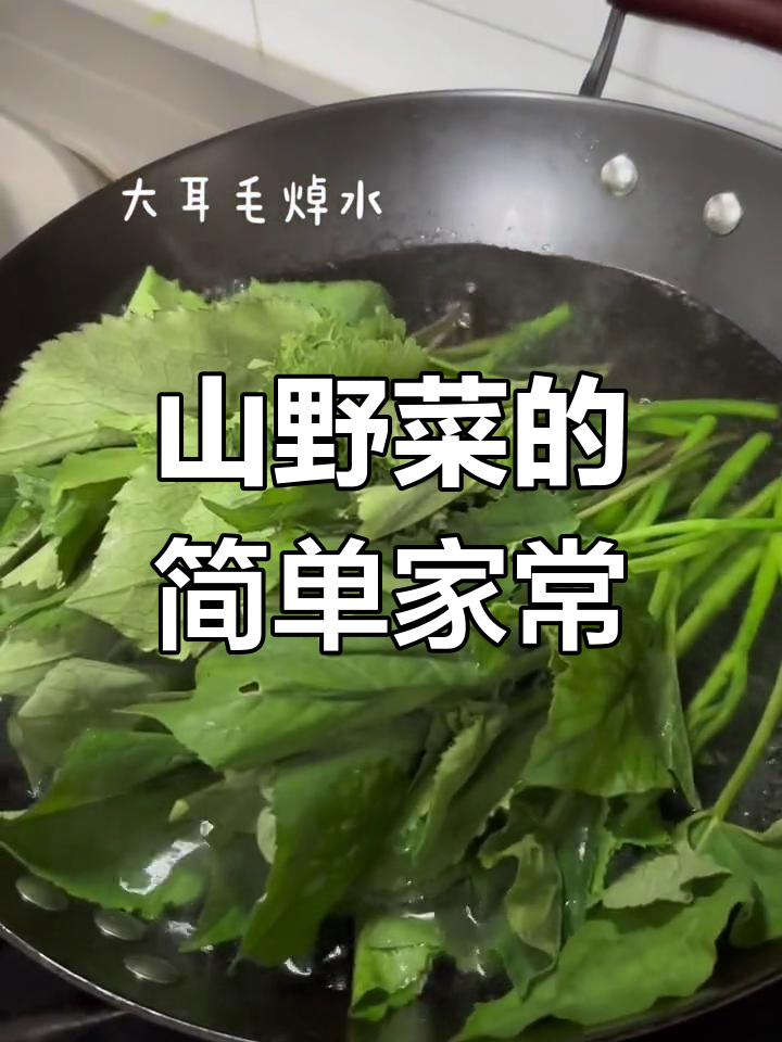 家的味道:山野菜的家常做法