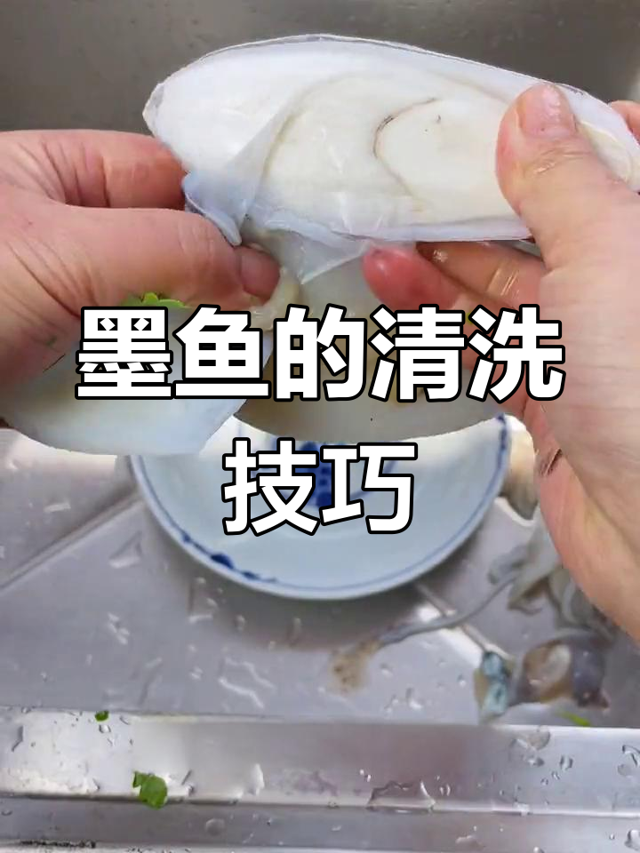 如何清洗墨鱼?看这个视频轻松学会