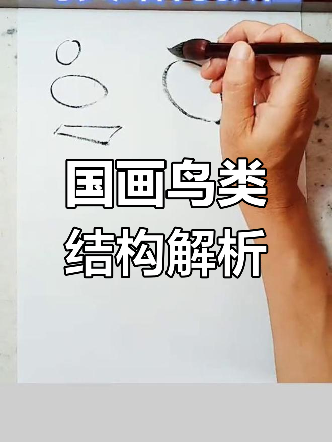 轻松掌握鸟类动态图绘制技巧,国画教学来啦