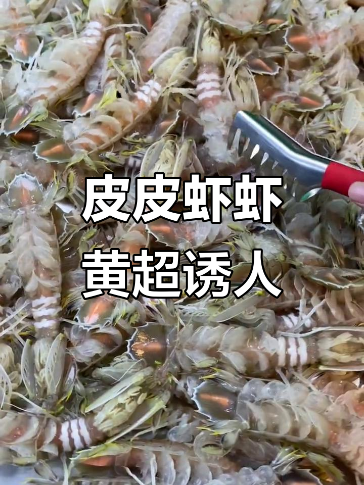 这只皮皮虾的虾黄太诱人了,看得我口水直流!