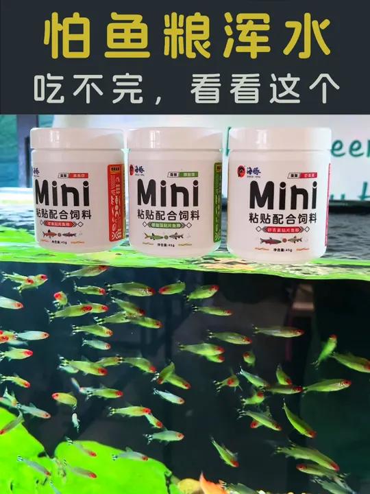 鱼儿不在剩“饭”的海豚迷你贴片鱼粮!观赏鱼 水族 鱼粮 养鱼人 养鱼日记