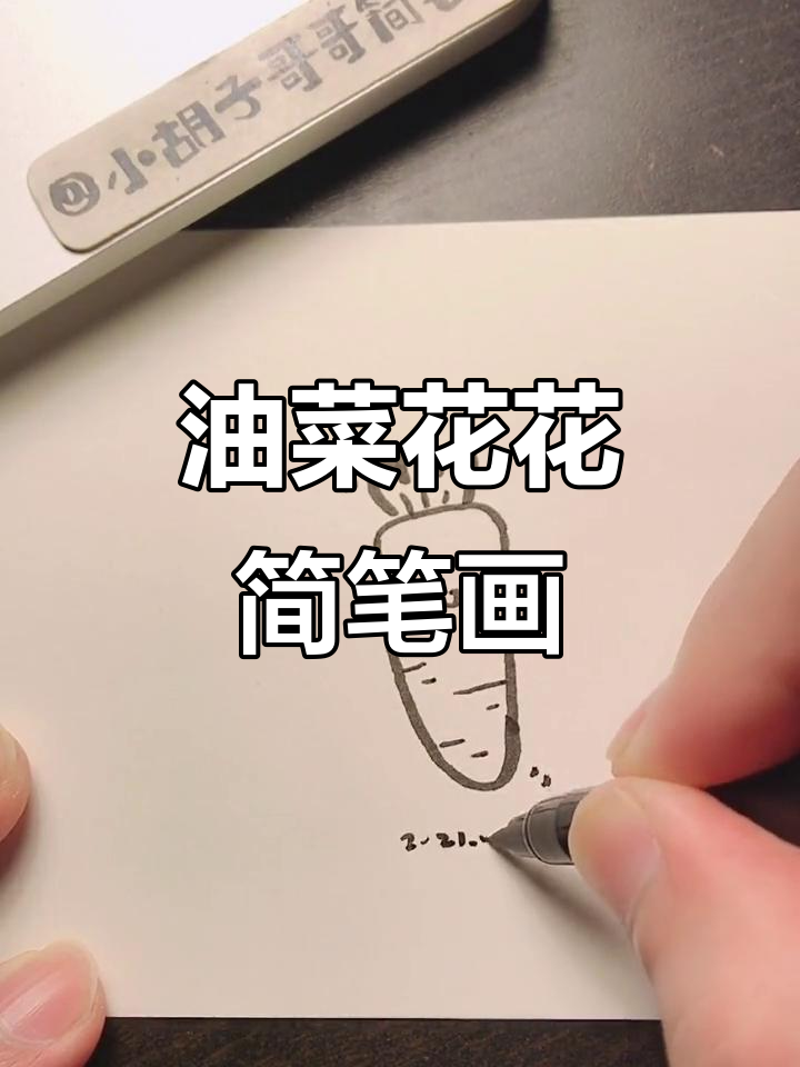 夏日油菜花与减脂手帐,简单画法教学