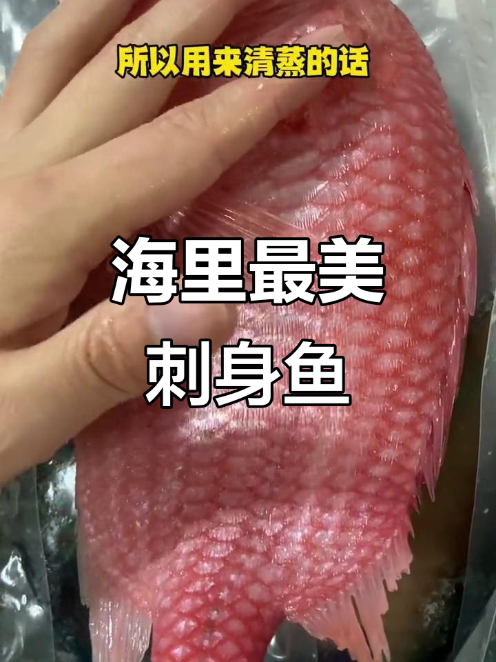 海南将军甲:颜值高又美味,清蒸最简单