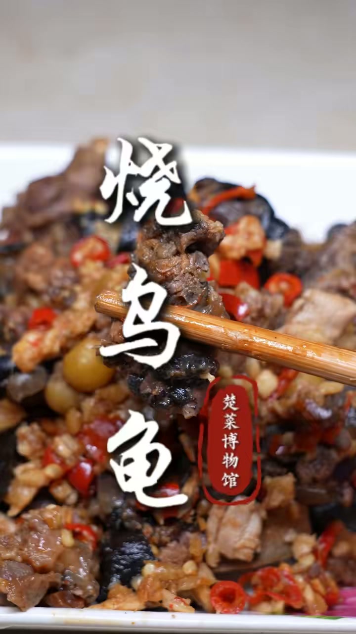 地大物博的湖北,传统名菜烧乌龟带你感受江汉平原风土人情