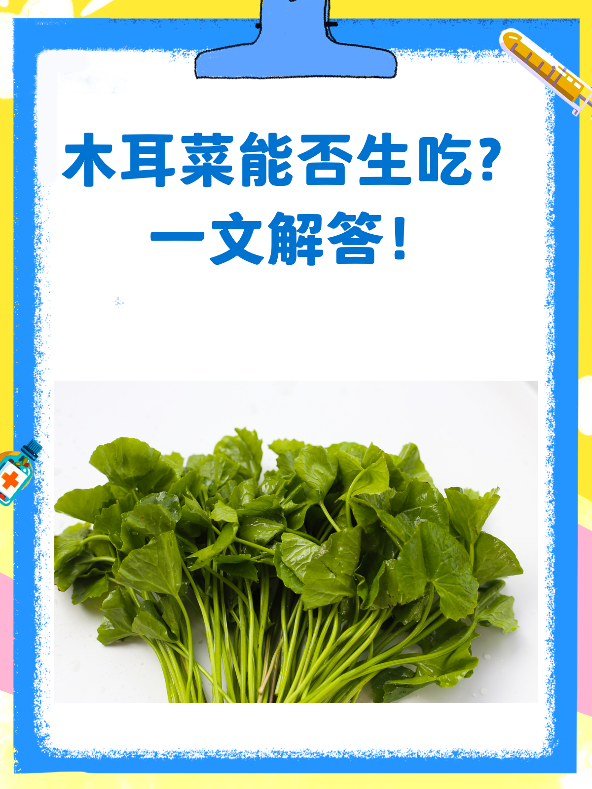 木耳菜生吃有风险?看完这篇就懂了!