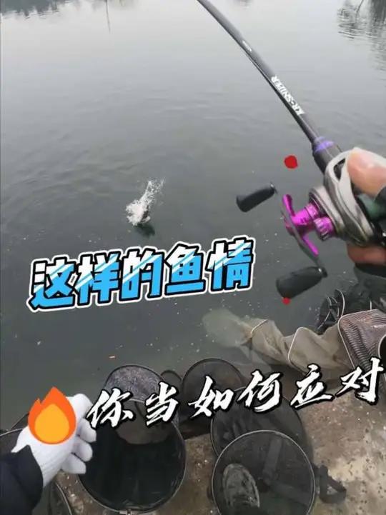 这样的鱼情，你将如何应对 钓鱼路亚万物皆可种草搜