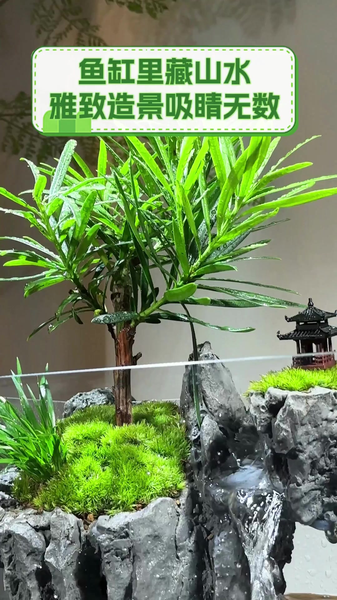 鱼缸里藏山水,雅致造景吸睛无数