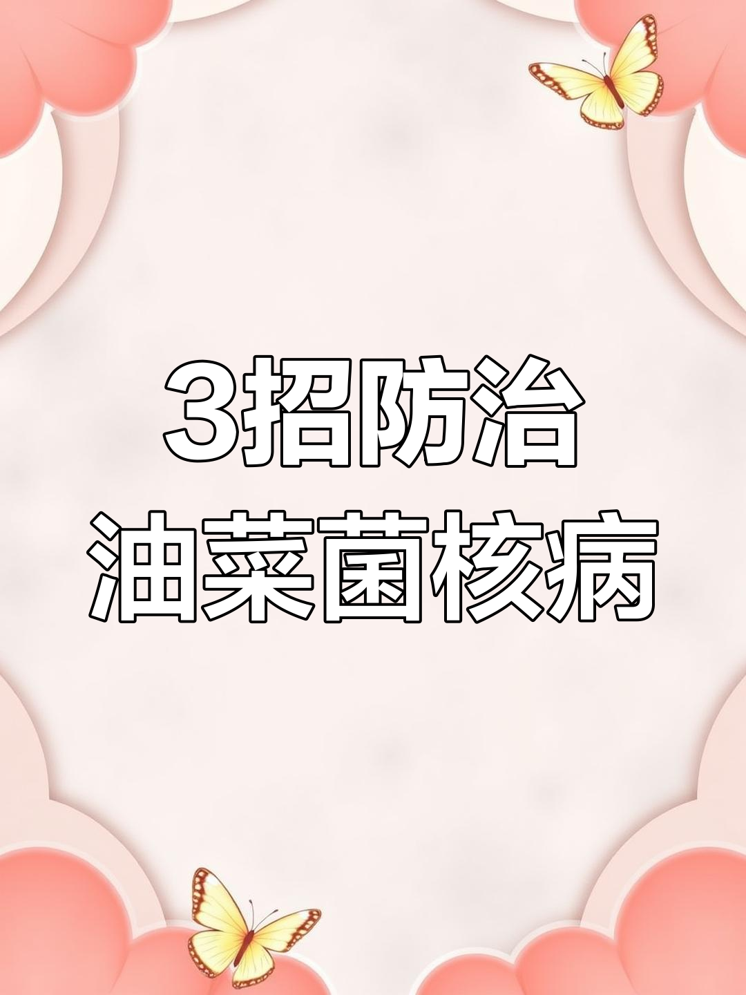 油菜菌核病防治全攻略,避免重蹈覆辙