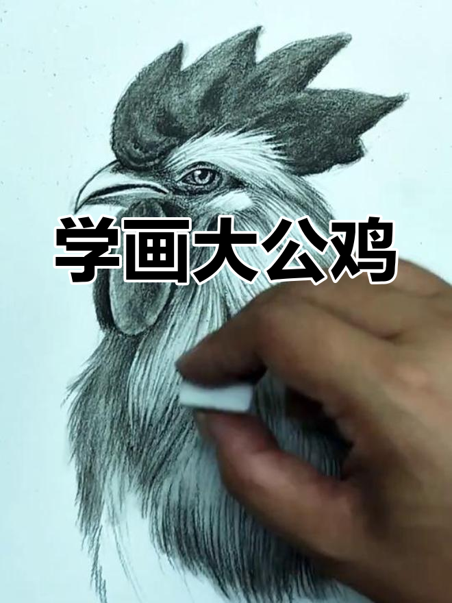 轻松学会画雄鸡,掌握素描技巧