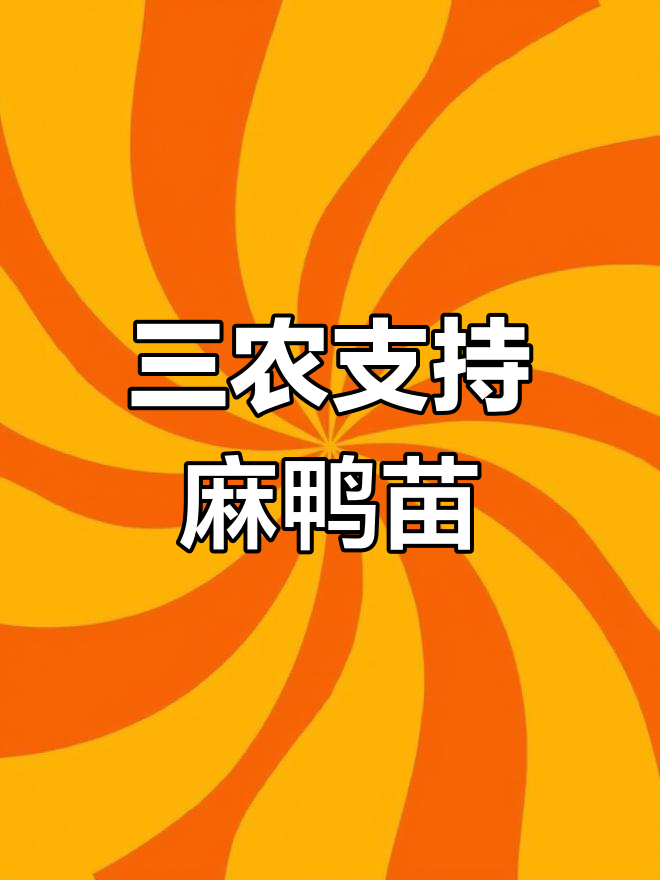 麻鸭苗孵化场助力三农,养殖业新机遇