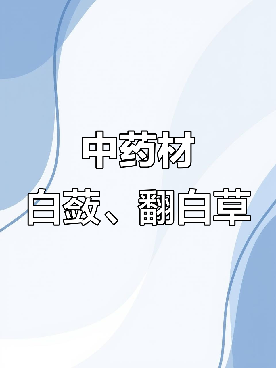 白蔹与翻白草的药用价值,了解这些中药材的独特功效