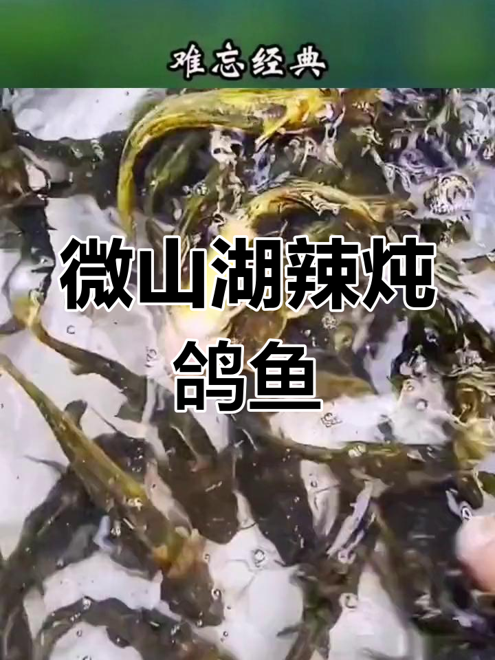 微山湖特色辣炖鮥鱼