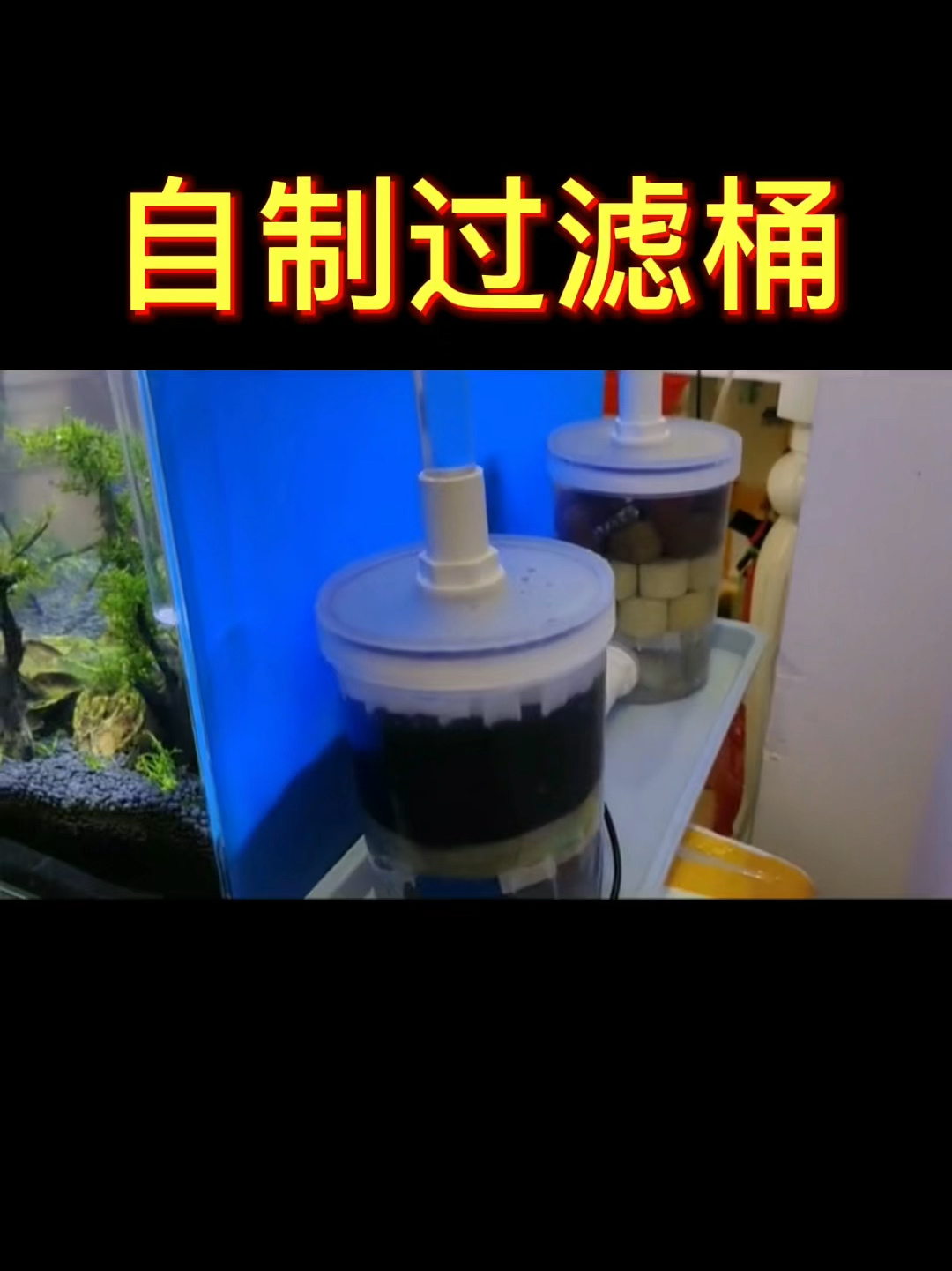 用简单的密封罐做鱼缸过滤桶