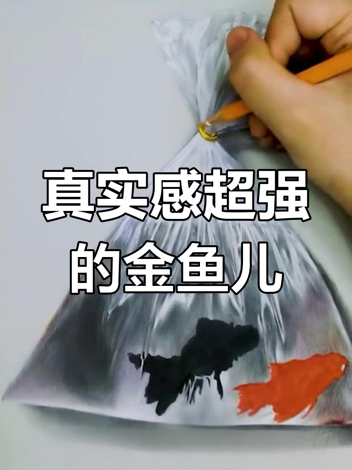 超写实金鱼彩铅教程,轻松画出栩栩如生的透明质感