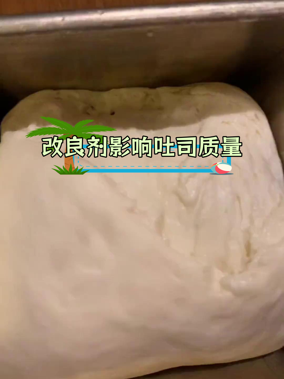 面包改良剂对吐司的影响:快速发酵与面筋脆弱性