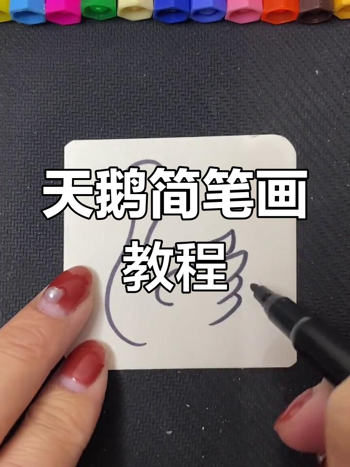 简单几步画出优雅天鹅