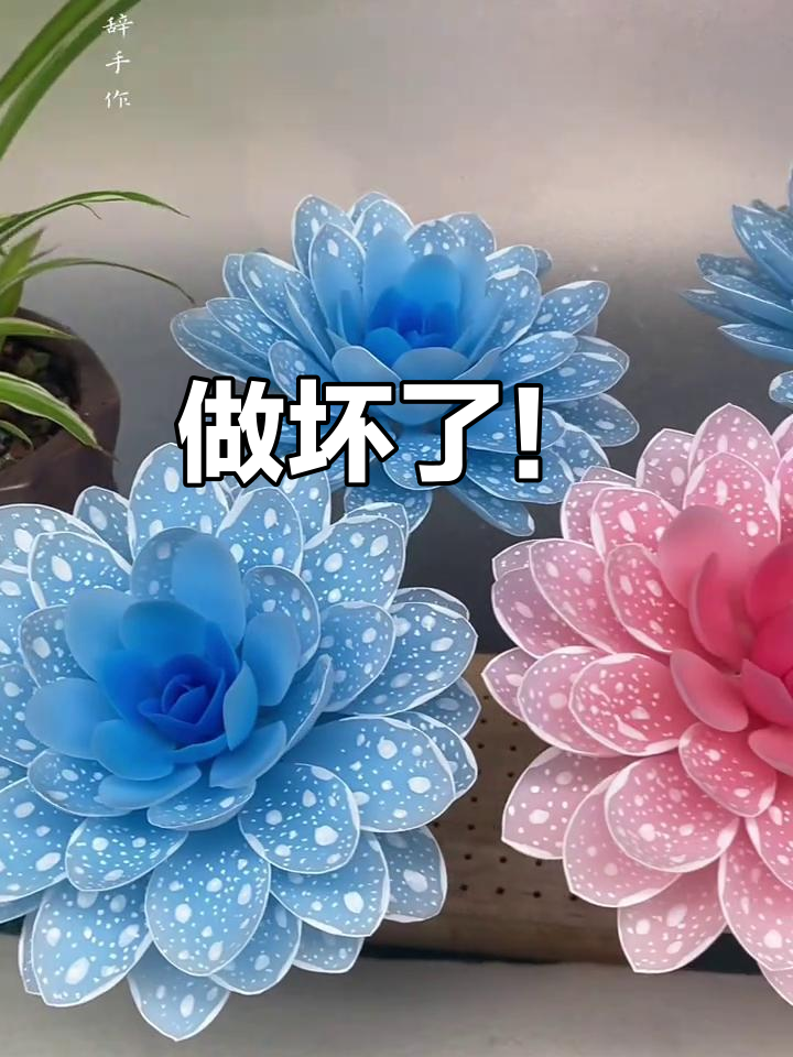 粘土多肉植物制作失败,通透感无法拍出