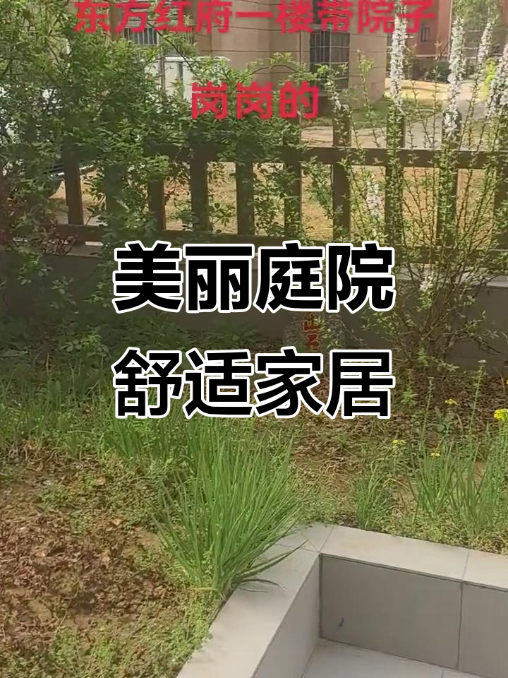 农村小院设计图,田园风格与现代设施完美结合
