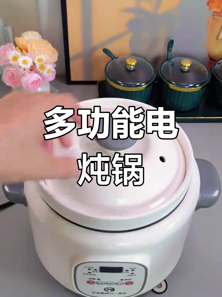 这款电炖锅,汤粥甜品一锅搞定,宝宝辅食也能轻松制作