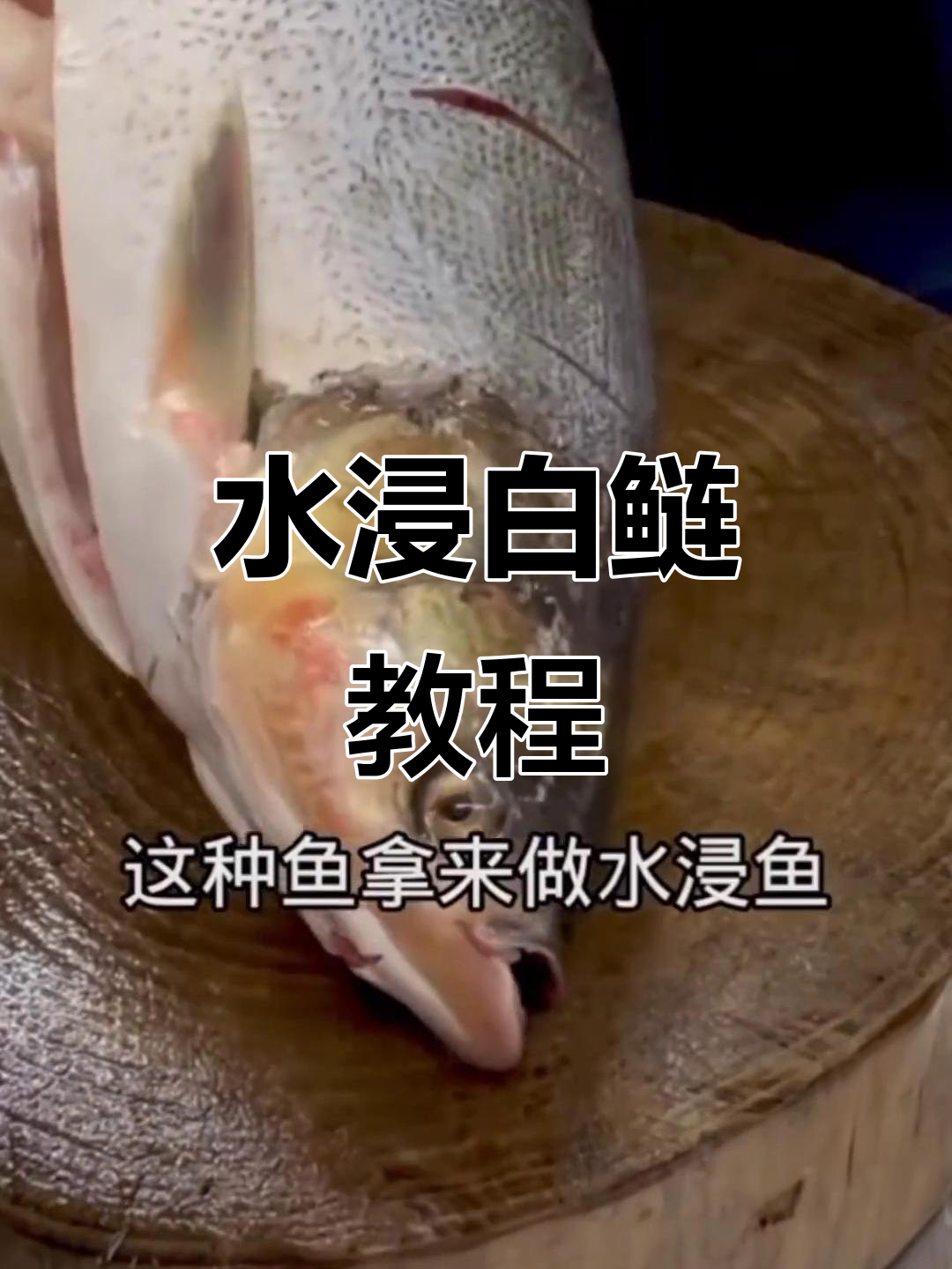 白鲢鱼水蒸做法,简单又美味!