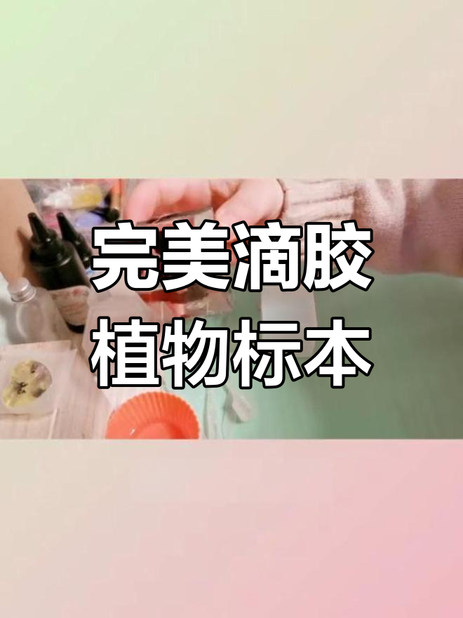 用滴胶制作植物标本,脱模技巧大揭秘!