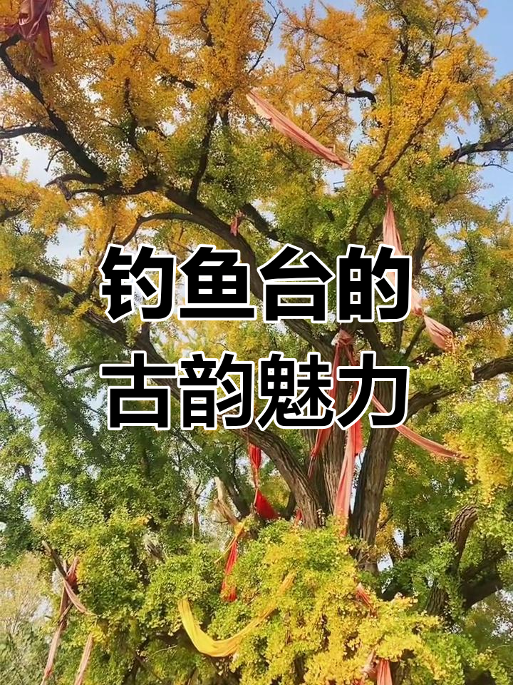 姜子牙故里钓鱼台:千年银杏与七座庙宇