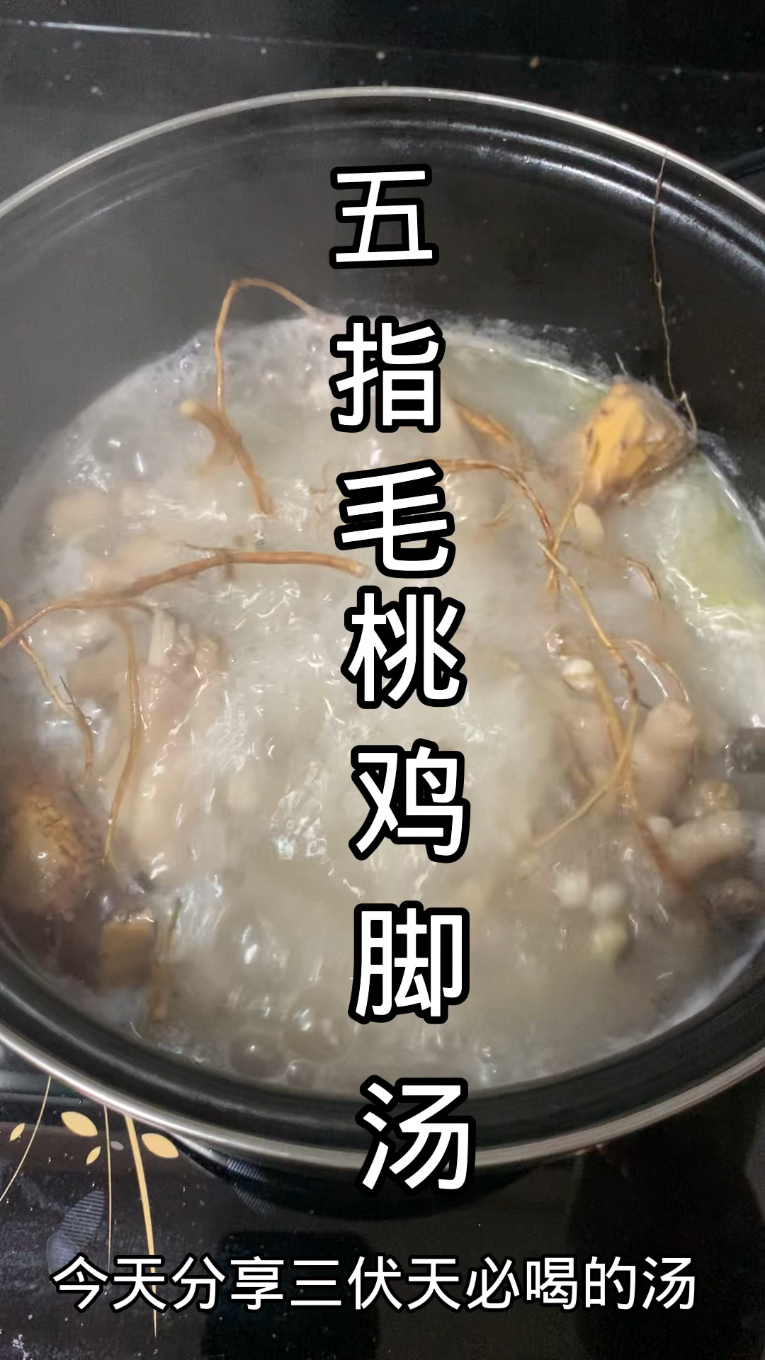 五指毛桃花生眉豆鸡脚汤:去湿健脾.