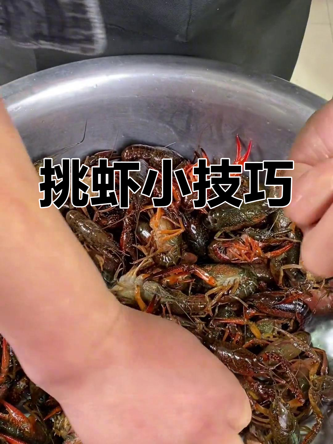 教你轻松挑选新鲜虾,辨别公母与肉质,避免常见误区!