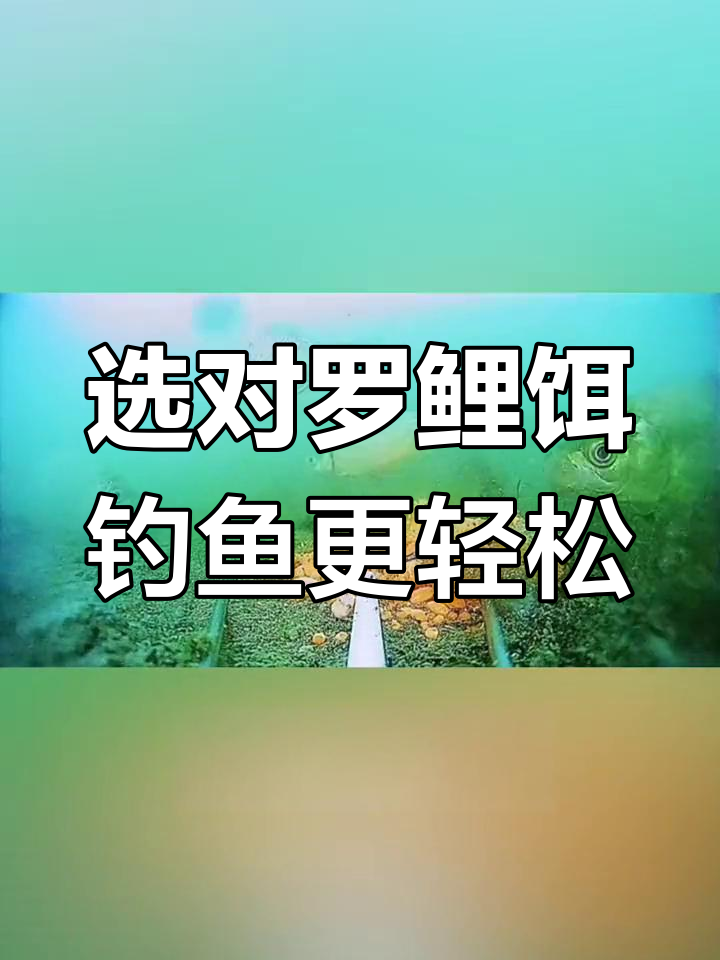 罗鲤鱼饵使用指南:如何选择适合的型号和配饵技巧