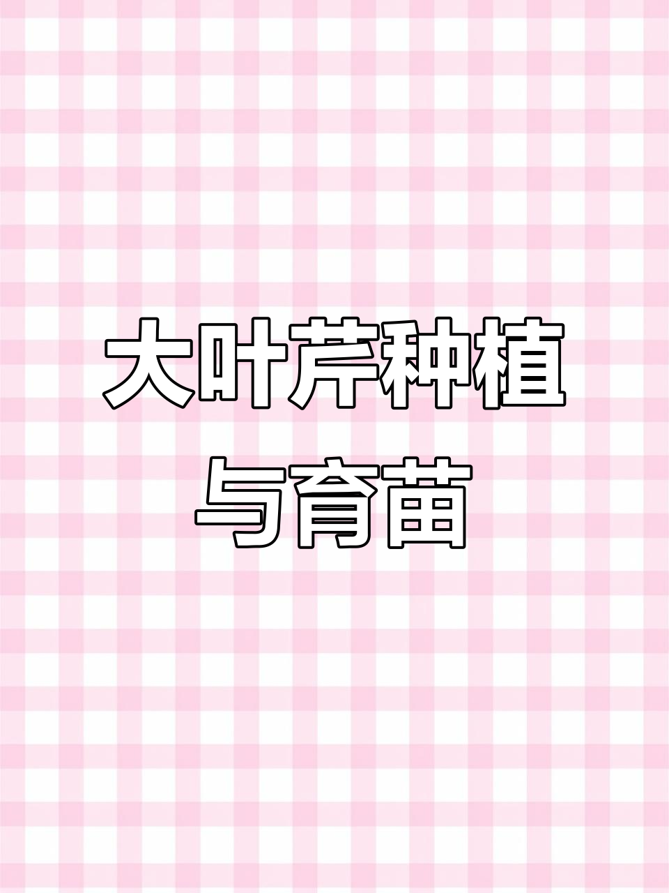 东北大叶芹种植基地,山野菜种子种苗培育全流程