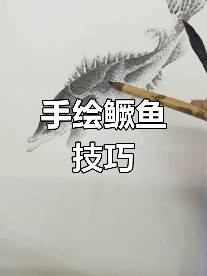 传统花鸟画技巧:桂鱼绘制全过程