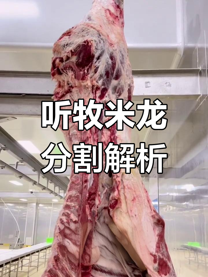 米龙分割全流程揭秘,珍耙牛肉的独特魅力
