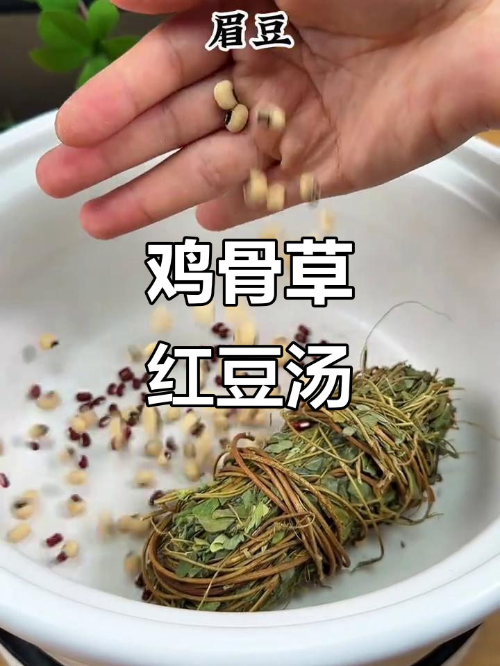 鸡骨草赤小豆汤,广东经典煲汤配方