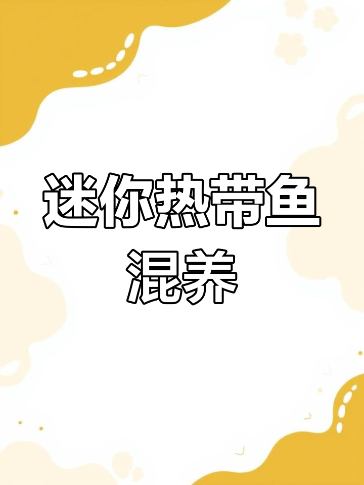 小型热带鱼混养大揭秘,羽毛、一眉道人与灯科鱼的奇妙世界