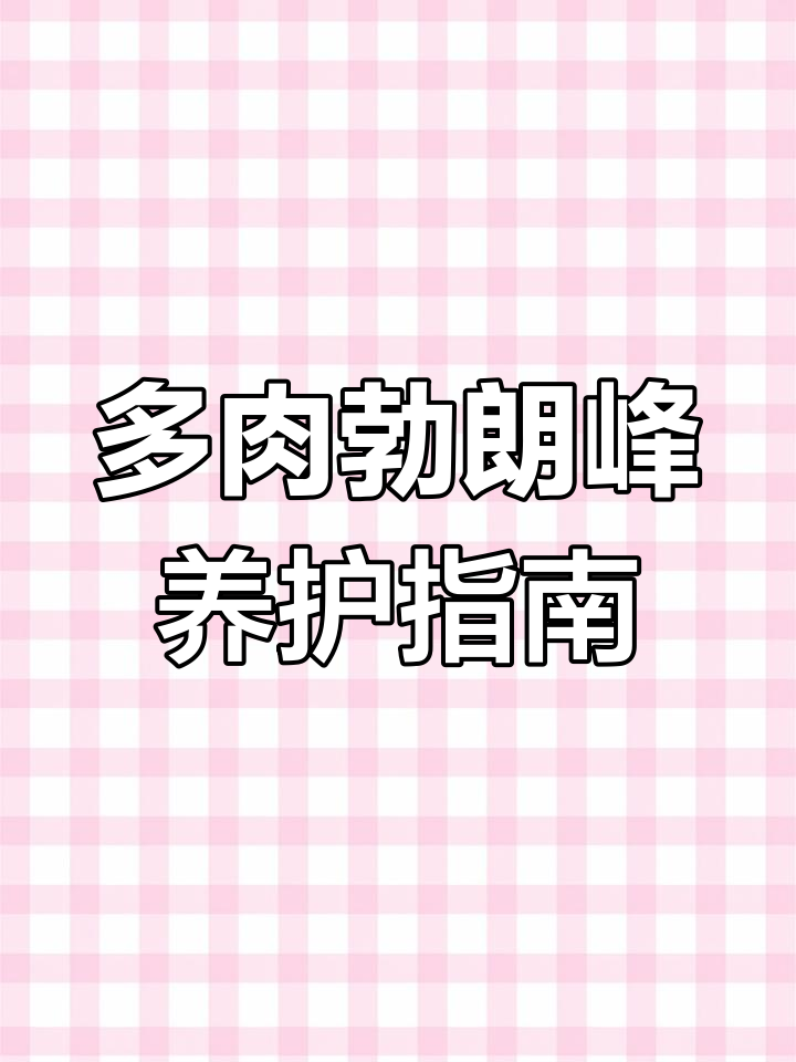 勃朗峰多肉:莲花属经典品种,养护技巧全揭秘