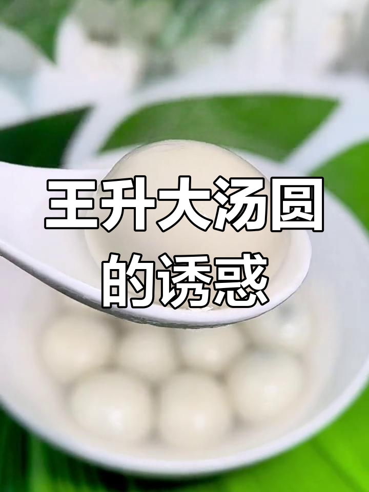 宁波王升大汤圆,口感绝佳,送礼自用两相宜!