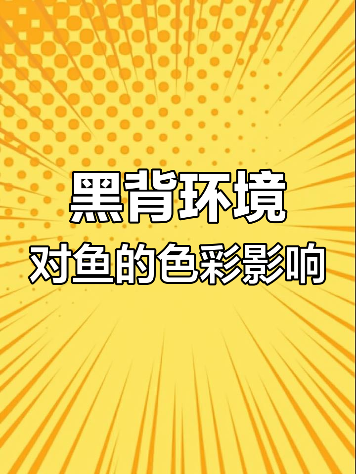 为什么孔雀鱼喜欢黑色背景