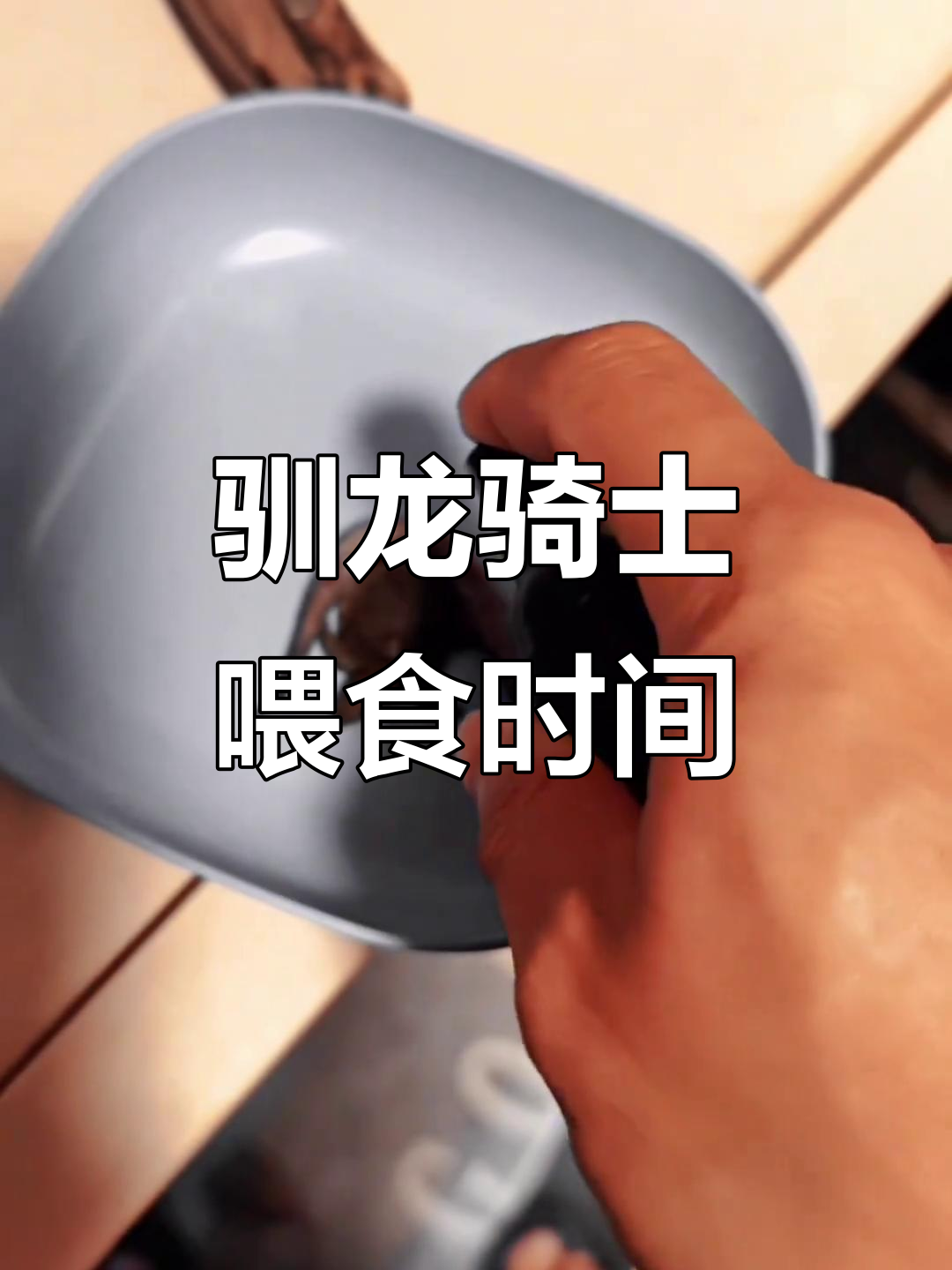 龙鱼喂食大揭秘,驯龙骑士的喂养技巧