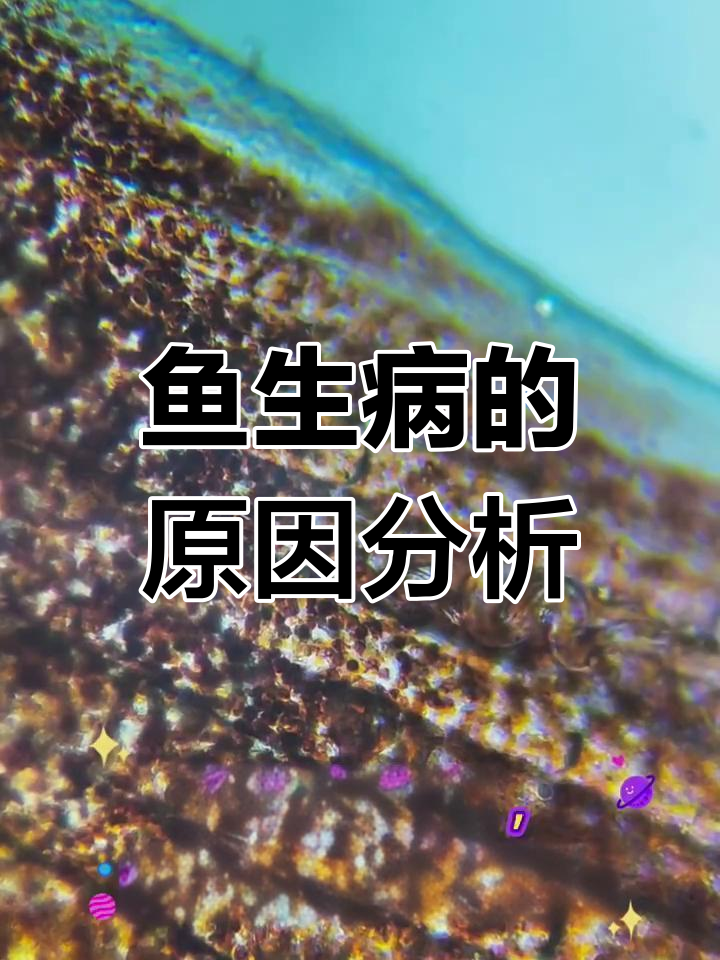 鱼得病原因大揭秘,预防胜过治疗