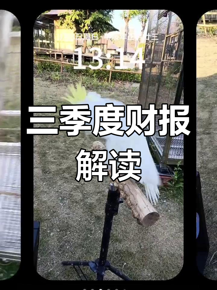 2024年三季度财报解析